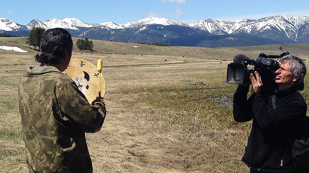 Bisons, die sanften Riesen von Montana