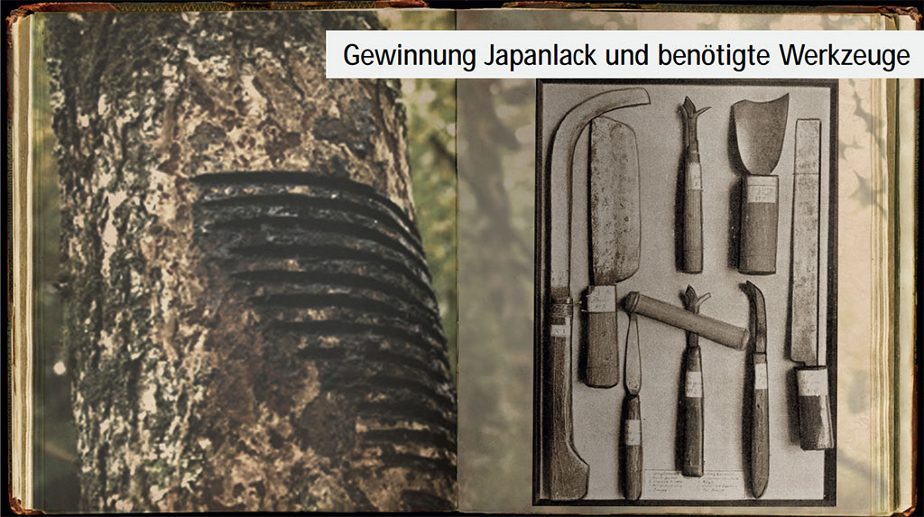 Erlebnisführung mit Bildern Asiatische Kunst